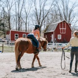 in hand schooling whips