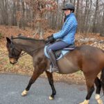 Mattes Custom All Purpose Half Pad