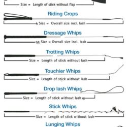 short vs long riding whip