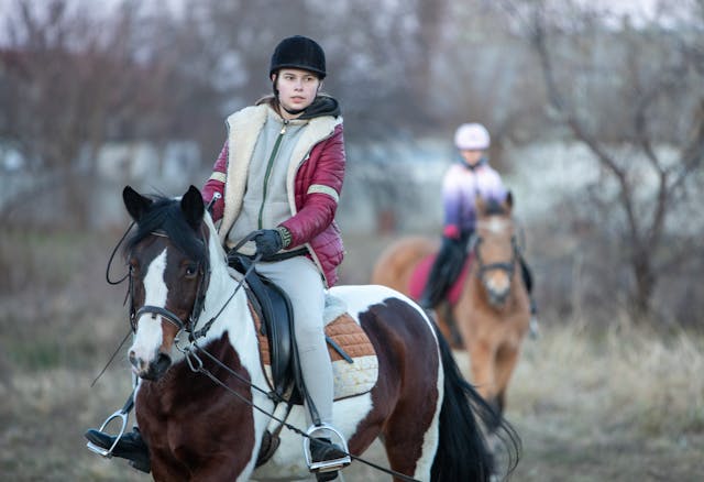 whips for young horses