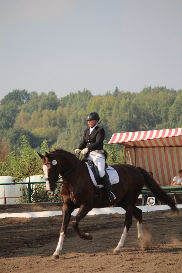 using a dressage whip correctly