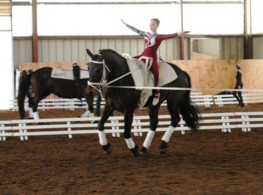horse vaulting whips