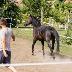 riding whip mistakes