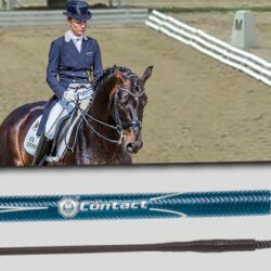 why dressage whips are longer