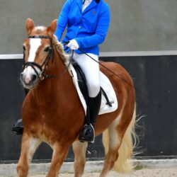 why your whip feels awkward to use