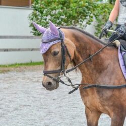 choose the wrong whip length