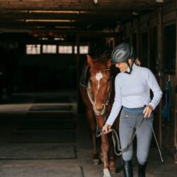 dressage riding whip