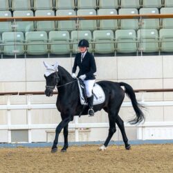 best dressage whips for beginners