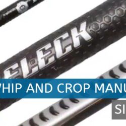 dressage whips you can buy