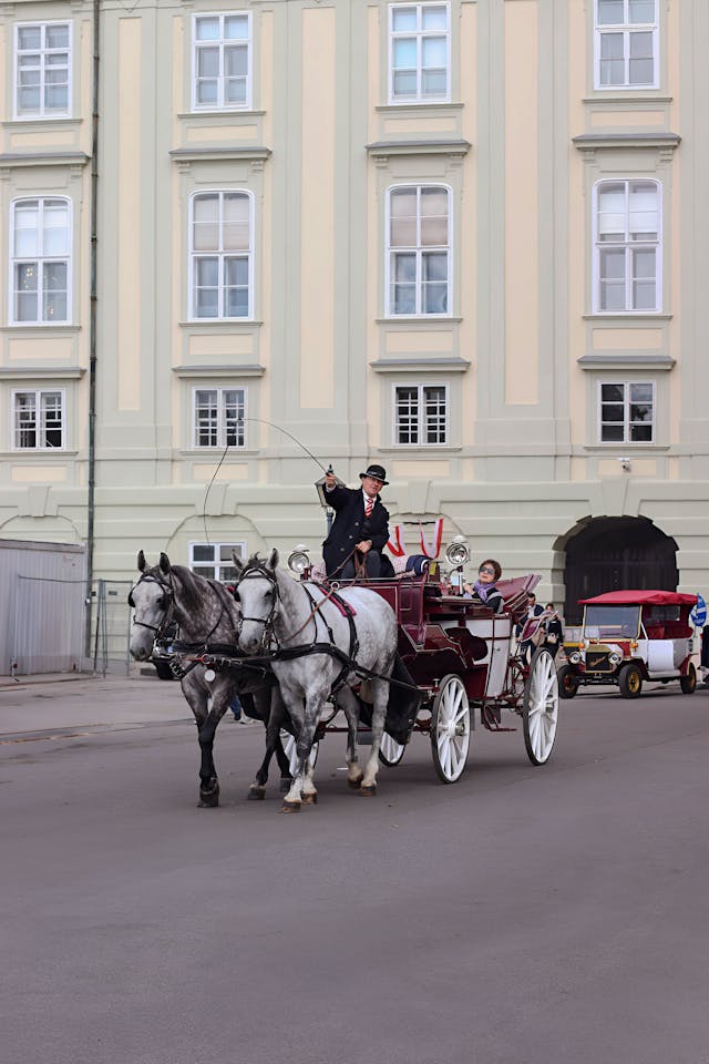 Drop Lash Driving Whips Explained 1 drop lash driving whip