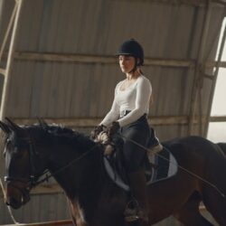 equestrian dressage whips