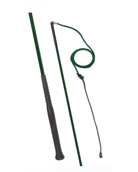 fleck lunge whip with nylon lash and swivel dark green
