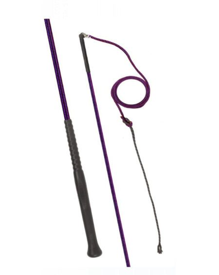 fleck lunge whip with nylon lash and swivel purple