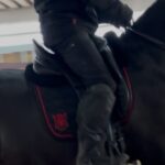 Mattes Custom All Purpose Half Pad 2 Mattes dressage saddle pad