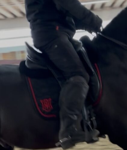 Click to view full screen Mattes dressage saddle pad