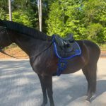 Mattes Custom Eurofit Dressage Saddle Pad