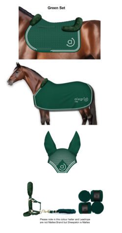Alegria Equitation Set