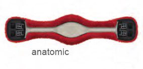 What Is an Anatomical Girth? Shapes, Fit and How to Choose 1 Anatomical shaped girth