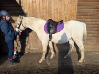 Best Girth for Sensitive Horses | What you should look for 6 fiona tiley 2 scaled e1787318977124