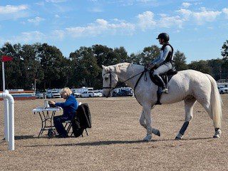 Irish Event horse with a girth gall before consultation