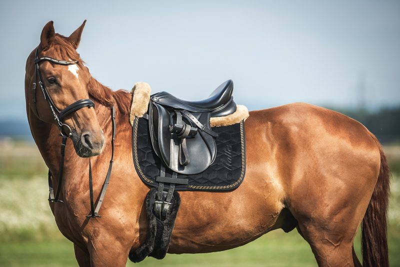 How should a horse girth fit 1 A correctly fitted girth should work with the horse's natural shape and allow sufficient room for the elbow to move freely.