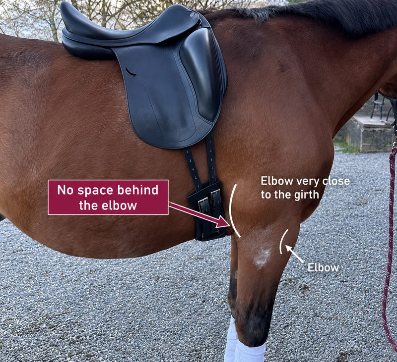 How should a horse girth fit 4 insufficient elbow clearance
