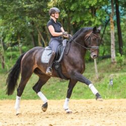 how should a horse girth fit