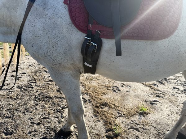 Why Does My Horse’s Girth Rub Behind the Elbow? 2 Can the wrong girth shape cause rubbing