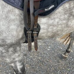 horse girth and elbow clearance how much room is needed