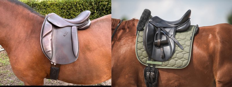 Two horses with different space behind the elbow
